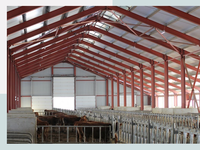 Строительство коровников в Кизляре