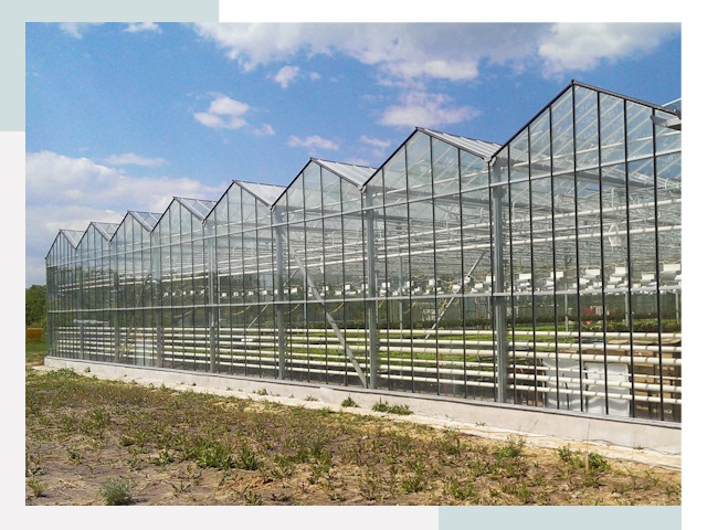 Строительство теплиц в Кизляр от 610 руб. за м²
