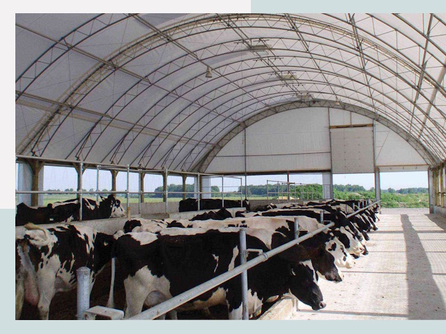 Тентовые коровники в Кизляре